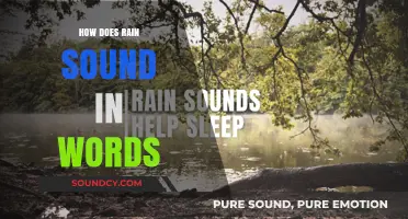 Capturing the Melody of Rain: Translating Nature's Rhythms into Words