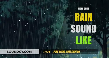 The Soothing Symphony of Rain: Exploring Its Unique Sounds and Rhythms