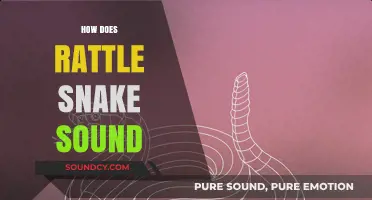 Unraveling the Distinctive Buzz: How Does a Rattlesnake Sound?