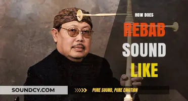 Discover the Unique, Soulful Sound of the Traditional Rebab Instrument