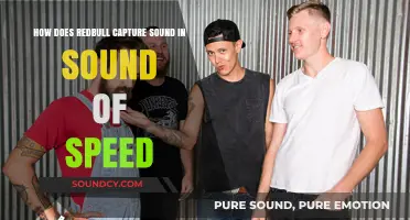 Red Bull's Sound of Speed: Capturing the Essence of Velocity