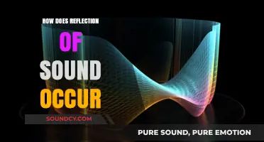 Understanding Sound Reflection: How Echoes and Reverberation Occur Naturally