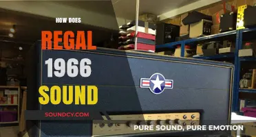 Regal 1966 Sound: A Timeless Audio Experience Revisited and Explored