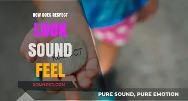 Exploring Respect: Visual, Auditory, and Emotional Expressions in Daily Life