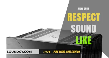 The Audible Essence of Respect: Words, Tones, and Silence That Honor