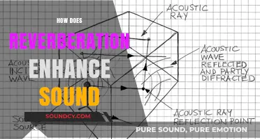 Reverberation's Role: Enhancing Sound Depth, Clarity, and Immersion in Spaces