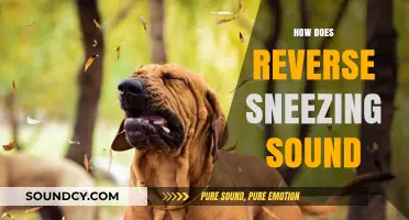 Understanding Reverse Sneezing: What Does It Sound Like and Why It Happens