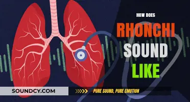 Understanding Rhonchi: Identifying the Distinctive Sound of This Lung Noise