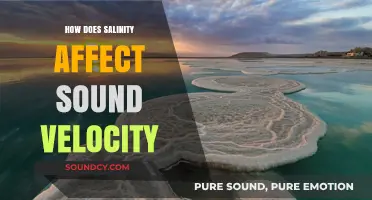 Salinity's Impact on Sound Velocity: Exploring Ocean Acoustic Dynamics