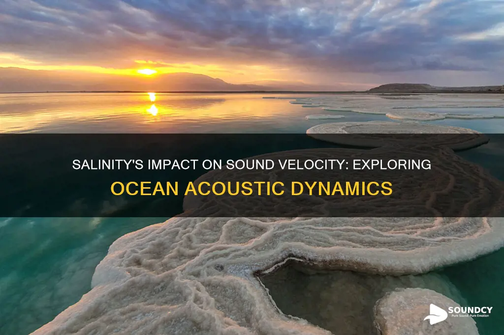how does salinity affect sound velocity