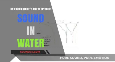 Salinity's Impact on Sound Speed in Water: Exploring the Science