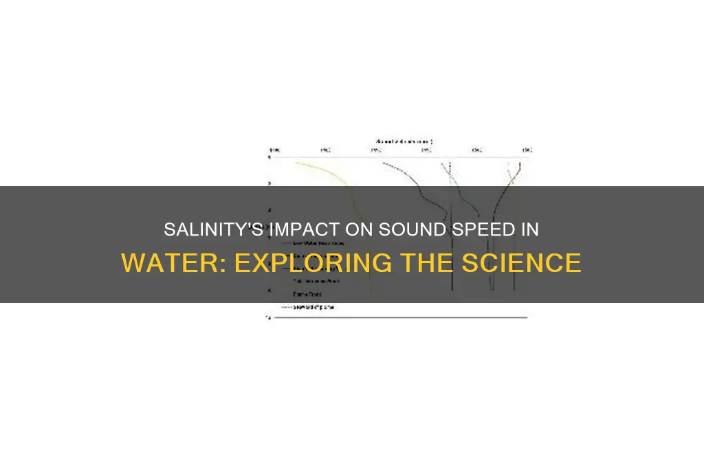 how does salinity affect speed of sound in water