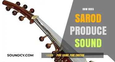 Understanding the Sarod: Mechanics and Techniques Behind Its Unique Sound