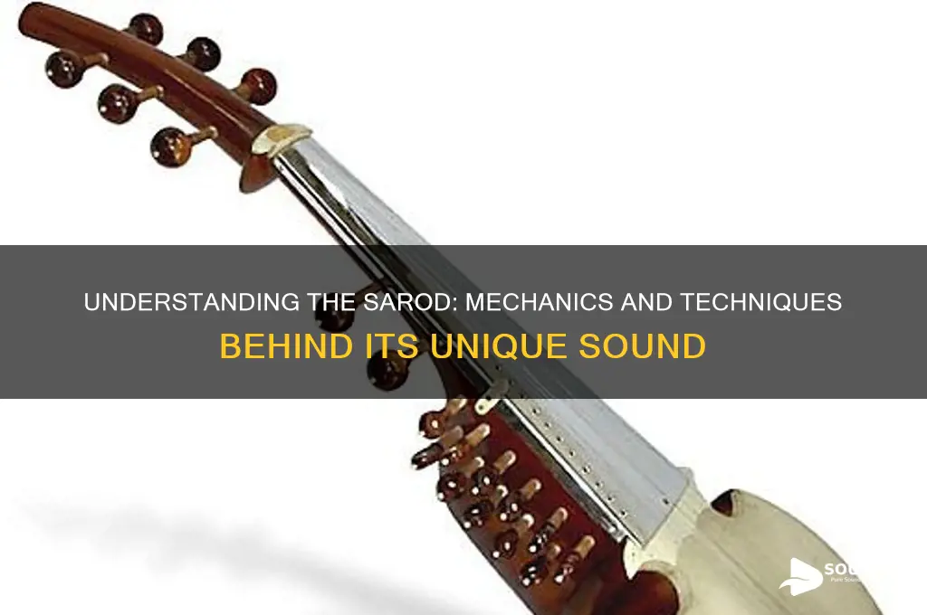 how does sarod produce sound