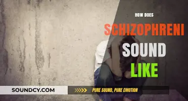 Unveiling Schizophrenia's Auditory World: Voices, Echoes, and Perceived Realities