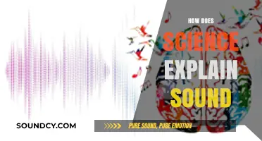 Unraveling the Science Behind Sound: Waves, Vibrations, and Perception Explained