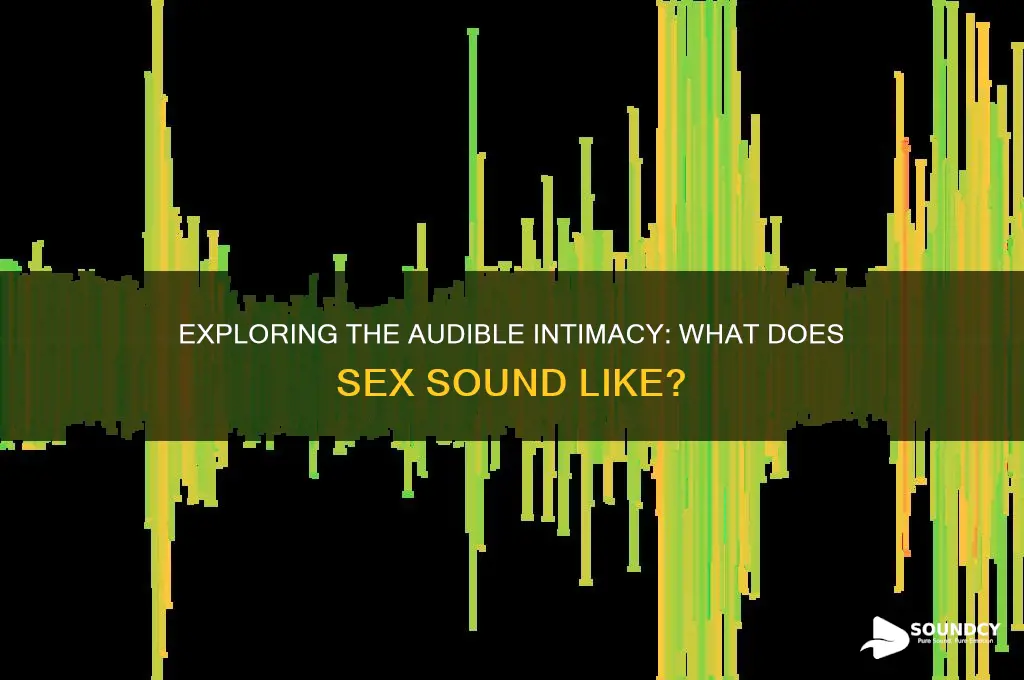 how does sex sound like