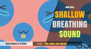Understanding the Audible Effects of Shallow Breathing: Sounds and Implications
