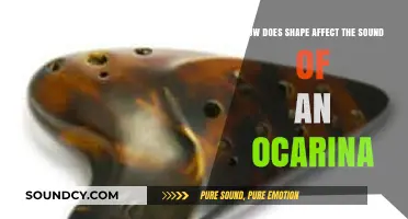 How Ocarina Shape Influences Sound: A Comprehensive Acoustic Exploration