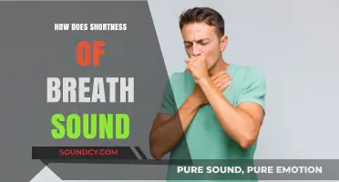 Understanding Shortness of Breath: Identifying Sounds and Symptoms