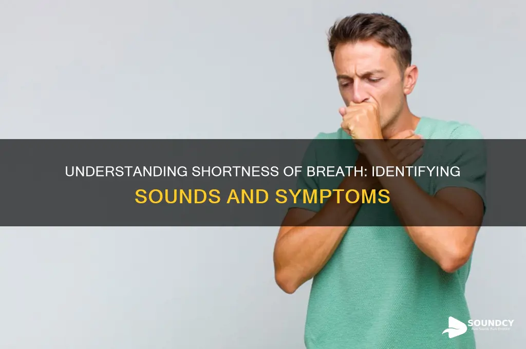 how does shortness of breath sound