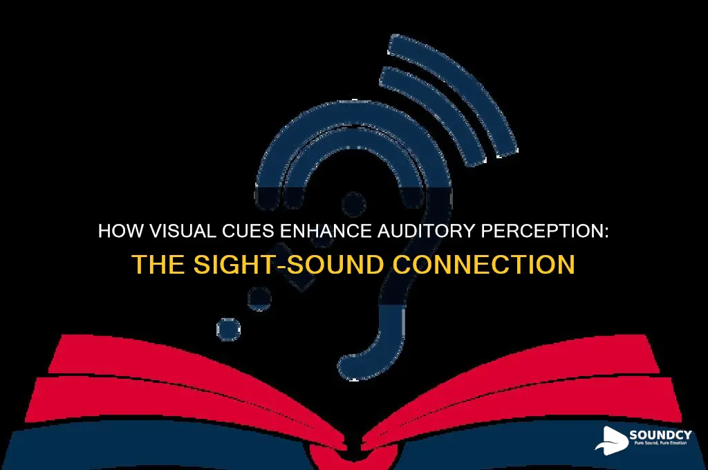 how does sight affect sound