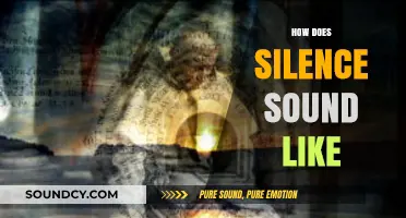 The Echo of Nothingness: Unraveling the Profound Sound of Silence
