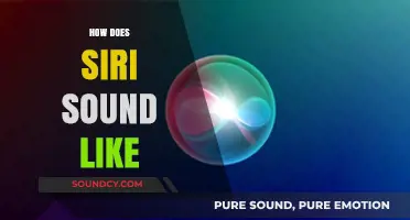 Exploring Siri's Voice: Tone, Accent, and Personality Unpacked