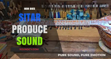 Unveiling the Sitar's Magic: How Strings and Resonance Create Sound