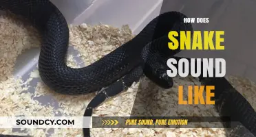 Unveiling the Unique Sounds: How Do Snakes Communicate Vocally?