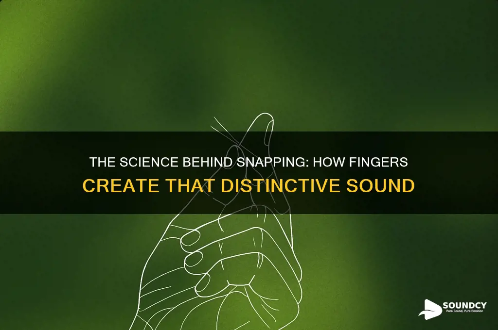how does snapping make sound