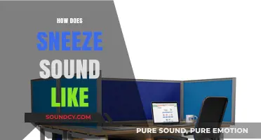 Unraveling the Unique Acoustic Mystery: What Does a Sneeze Sound Like?