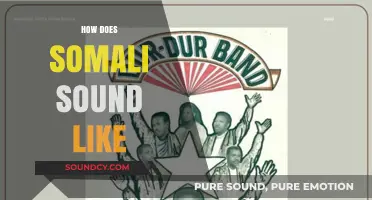 Exploring the Unique Rhythms and Melodies of the Somali Language