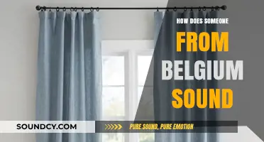 How Belgians Speak: Uncovering the Unique Accents and Sounds of Belgium