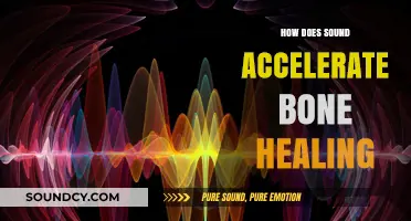 Sound Waves: Accelerating Bone Healing Through Innovative Acoustic Therapy