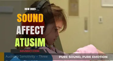 Exploring Sound's Impact on Autism: Sensory Effects and Therapeutic Potential