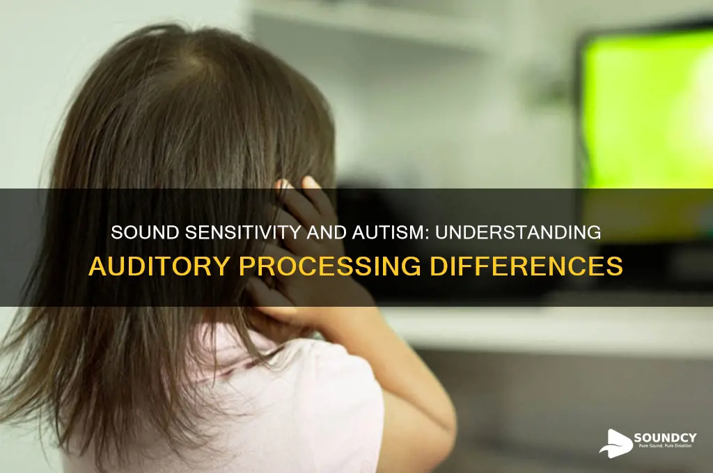 how does sound affect autism
