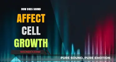 Sound Waves and Cell Growth: Uncovering the Vibrational Impact on Biology