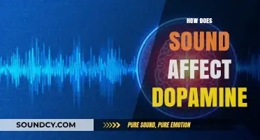 How Music and Sound Boost Dopamine Levels in Your Brain
