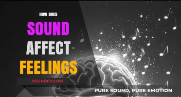 How Sound Shapes Emotions: The Science Behind Auditory Influence