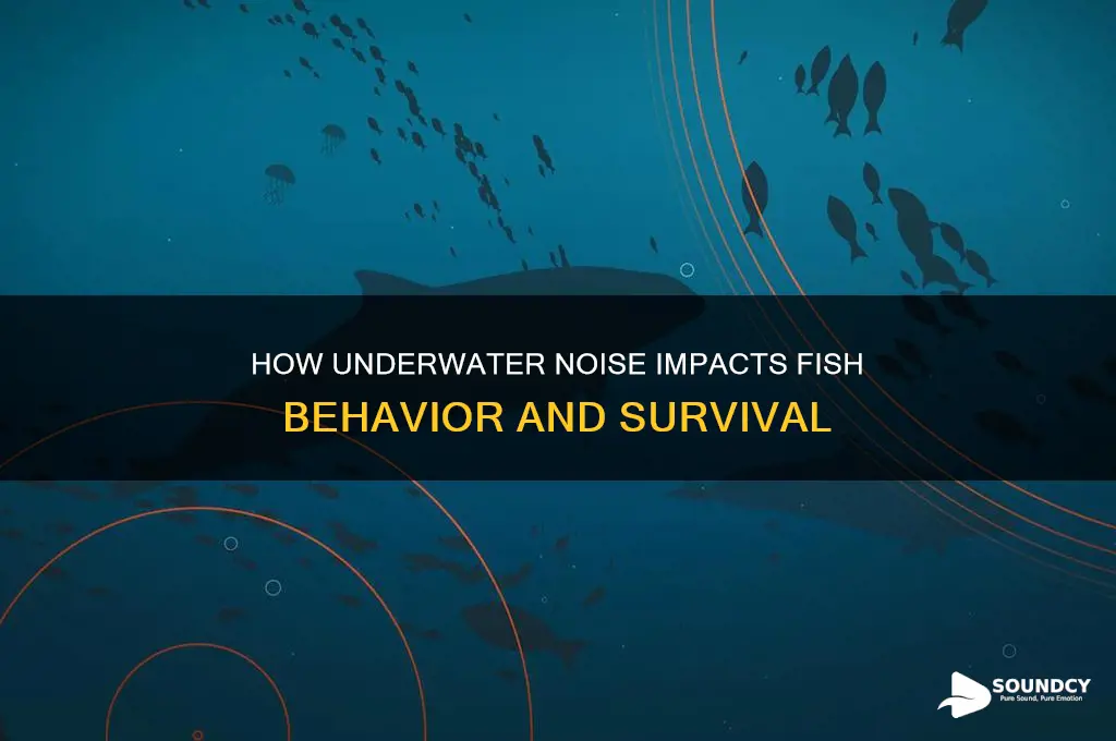 how does sound affect fish
