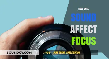 Sound's Impact on Focus: Enhancing Concentration in Noisy Environments
