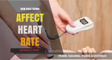 Sound's Impact on Heart Rate: Exploring the Rhythm of Health