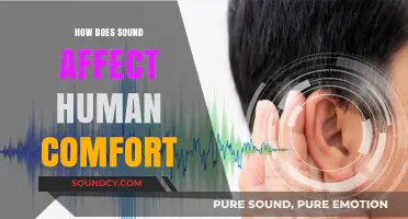 Sound's Impact: Exploring How Noise Levels Influence Human Comfort and Well-being