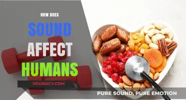 The Impact of Sound on Human Health and Well-being