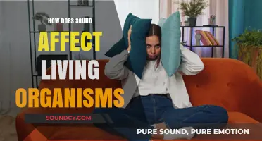 The Impact of Sound on Living Organisms: A Comprehensive Exploration
