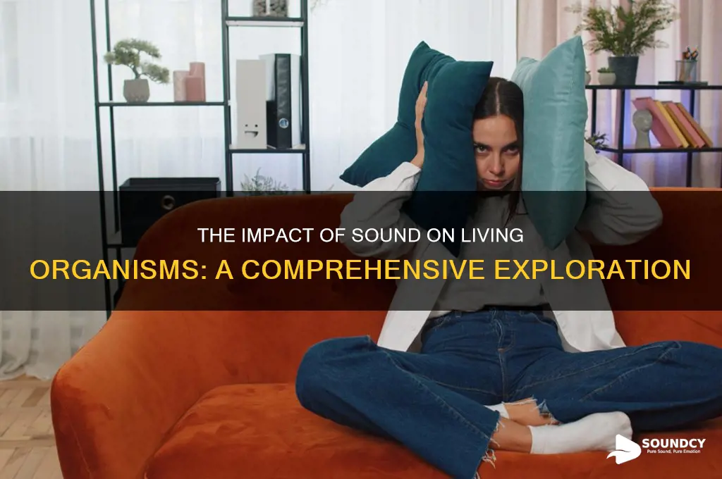 how does sound affect living organisms