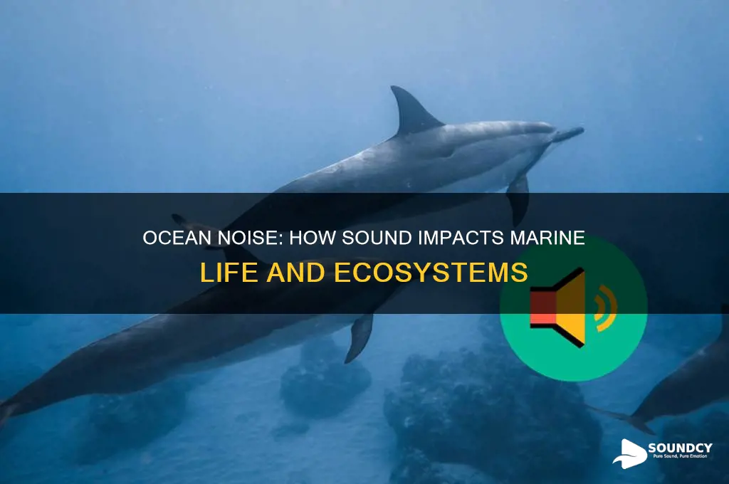 how does sound affect marine animals