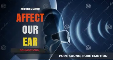 How Sound Waves Impact Our Ears: Understanding Hearing and Health