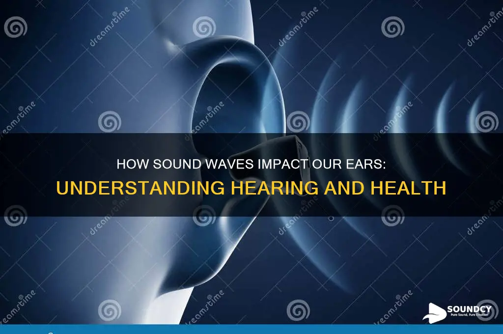 how does sound affect our ear